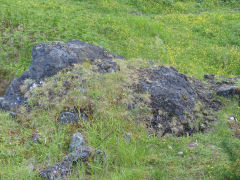 
British Ironworks slag beside the LNWR line, Pentwyn, Abersychan, June 2013